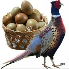 60ö�����߲ʾG��ɽ�u�����u������b���rɢ�B���u��