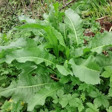 ���r�����SѪ���ߗ��F�~�Ӹ�ţ�����S�����S�����ţ��ݬF�ڬF�l