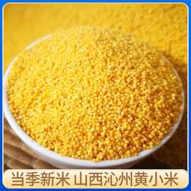 山西特产50斤/袋沁州黄小米农家自产煮粥用黄小米五谷杂粮黄小米