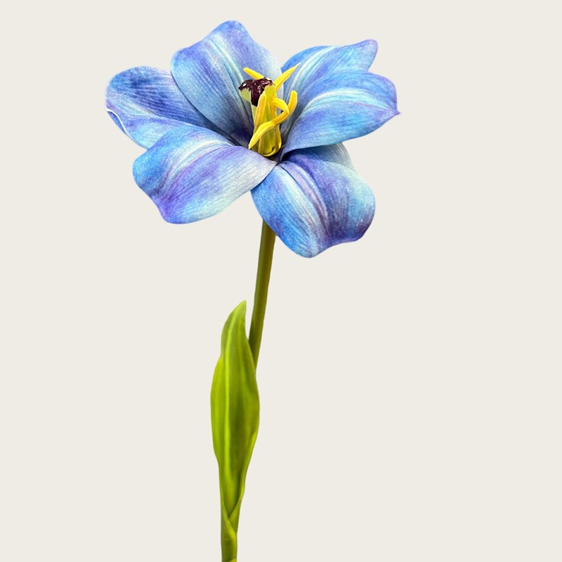 스마일리 튤립-블루