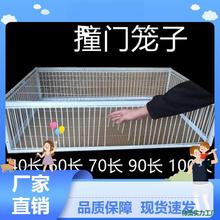 ֻ�M�������ӻ\�ԄӲ��u���Wȸ�B�\��jײ�T�\���������Ｐ�@ˇ