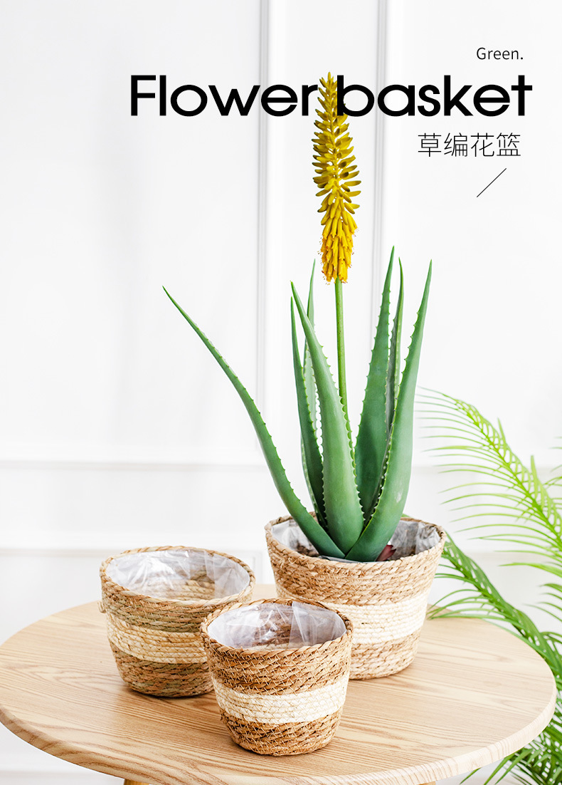 i2uUjf6mxdTrdS47SARxxFQRrhWz6zI2K3WI