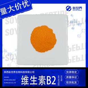 99%�S����B2 VB2���S�غ��S��83-88-5�F؛���]����r���S����B2