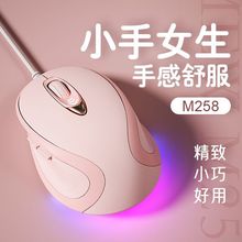 �m��������о��o���Α��k���ɐ�Ů���Pӛ��̨ʽ��Xusb���O��