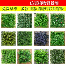 ��ȼ���mֲ�25*25�Gֲ�b��T�걳�����b��߷������ֲ�