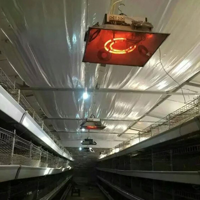 Chick calentador de pollo calefacción cría lechón paraguas inteligente automática lámpara de aislamiento halógeno temperatura ajustable