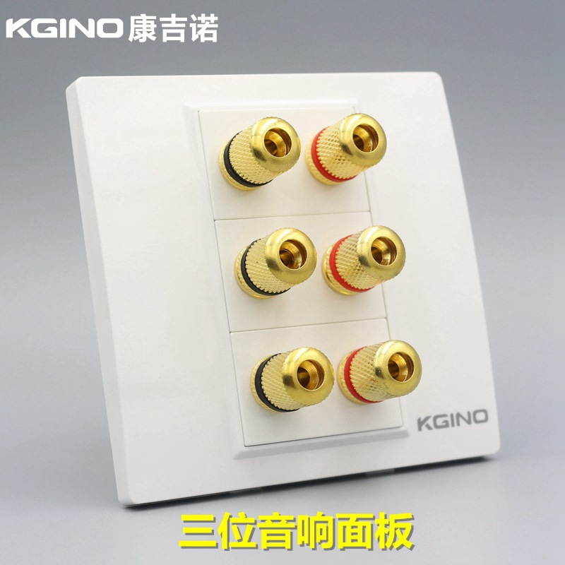 86型多媒体音响插座3个双头音响模块6头环绕喇叭音频音箱插座面板