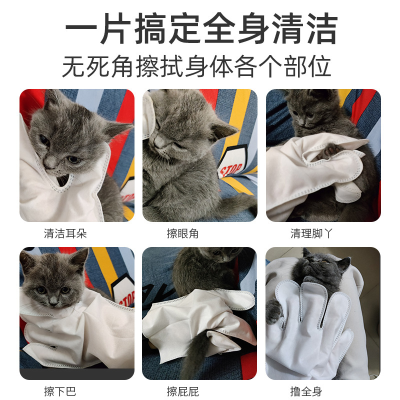 ペット用使い捨て手袋 犬猫用 洗浄・消臭・入浴不要の清掃用手袋 フォグリーフレグランス付き フォグリーフレグランス付き 6枚入|undefined