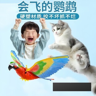 �w�B��ͯ늄���ߋ냺�␞���w���ж�؈�������w�аl�W�^늄��B