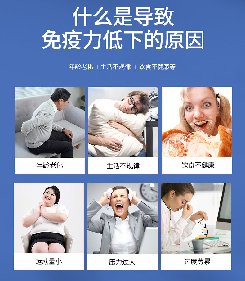 破壁灵芝孢子粉