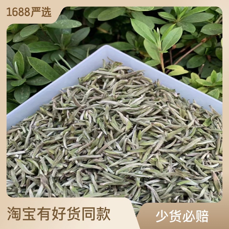 白毫银针2024年福鼎老白茶米粒芽毫香浓郁 散装500克批发茶叶厂家
