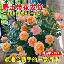 �¼����Ի����ش��ļ��_����õ�厧�����ֲ̨���ϱ���ͥԺ����