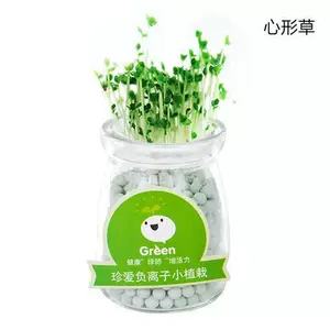 水培盆栽diy创意负离子绿植办公室桌面小盆景防辐射迷你小植物