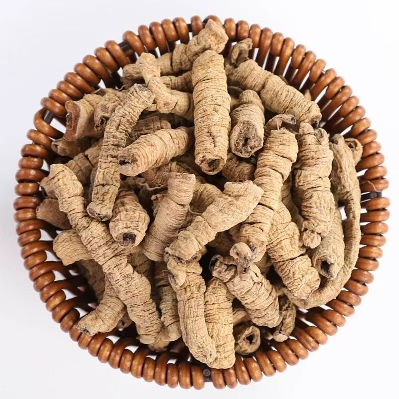 Ba Ji Tian Dried Morinda Root 100g Bottle Traditional Chinese Herb for Decoction and Soup specifications