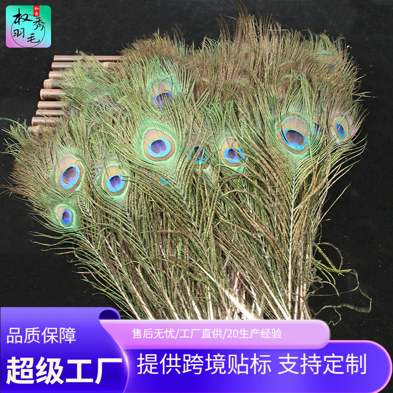 Wholesale Peacock Hair Peacock Feather Natural Feather Decoration Feather Jewelry Home Window Vase Flower Decoration