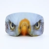 Eagle Eagle Eye