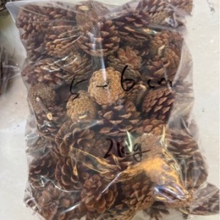 ����ɚ��ɹ����ɹ��}�Q����҃Ȕ[�diy����ֲ��˱��׃��@