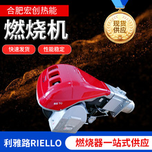 RLELLO·RS70ȼC70fȻҺȼIøGt