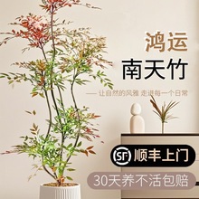 ���������Կ͏d����ֲ��Gֲ�߼�������k���҃ȸ߶���ش�̖�辰