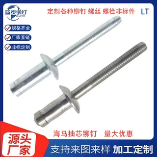 YJT 8011新能源汽车海马铆钉 机柜机箱拉铆钉