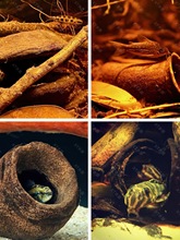 �����׹��� �쾰���� ������� �����~��� �~�׶����