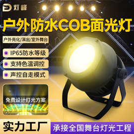 舞台防水cob面光灯100W面光灯演出户外led面光灯暖白婚庆补光灯
