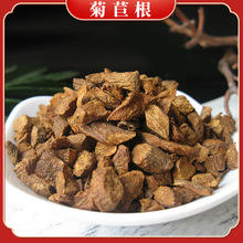 菊苣根长白山兰菊根黄兰菊根金兰菊根黄玉兰散装菊苣批发