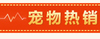 章鱼--热销玩具推荐_02