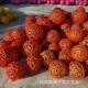 Rattan ball dry branch decoration kindergarten corridor hand-woven color Willow ball hanging decoration mall store ceiling roof