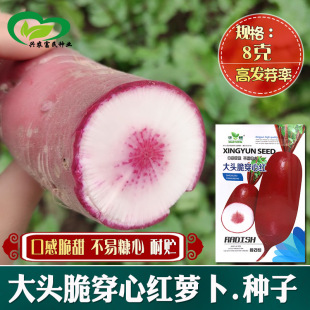 ���^�ഩ�ļt����}���N�� �r��˵طNֲ����t�ļtƤ�}�������A