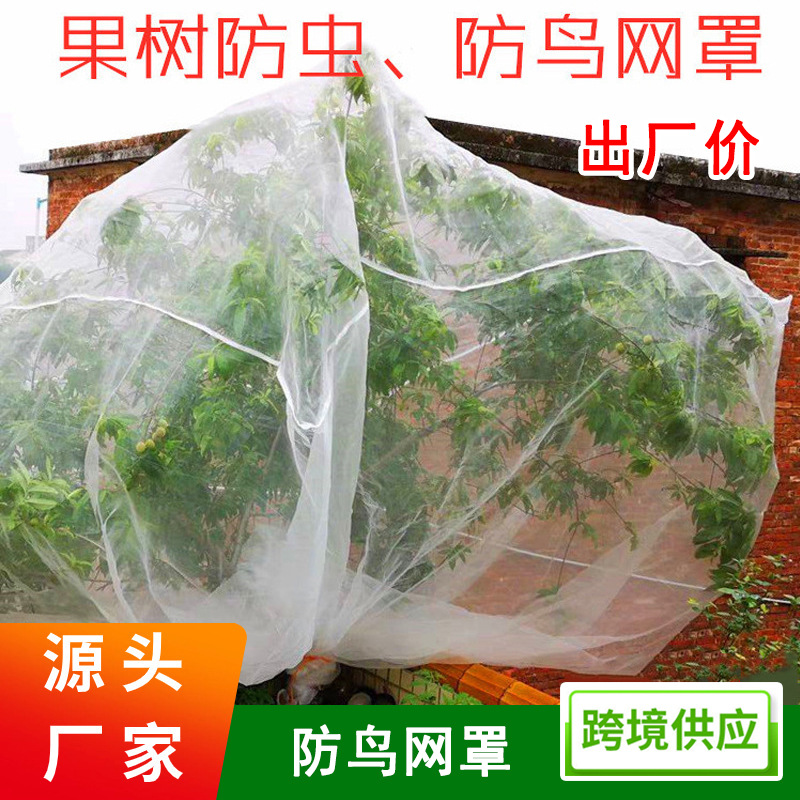 厂家直销防鸟网菜园防虫防果蝇网罩大棚果蔬农业防害虫加密尼龙网
