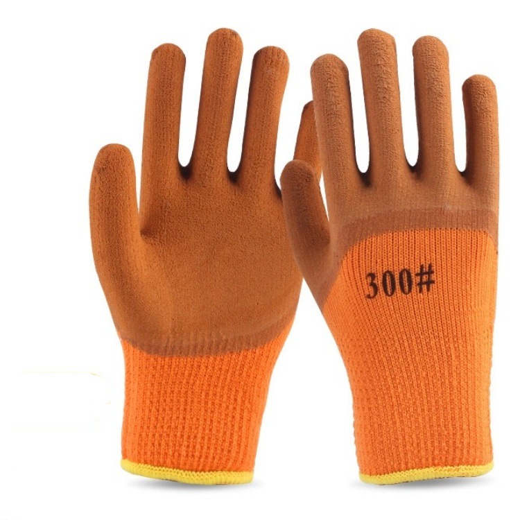 IMG_1206(20231212-023819)