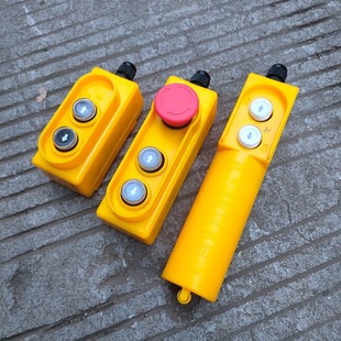 Mini Electric Hoist Remote Control Switch Handle 220V Small Household Crane Lift Hoist Winch Free Shipping