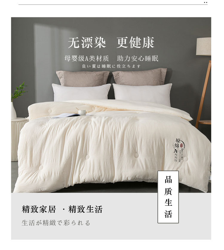 Class A Raw Cotton Soybean Fiber Thickened Quilt Core Spring Autumn Winter Cotton Quilt Student Dormitory Winter Quilt Gift Wholesale