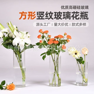高硼硅微景观玻璃容器北欧竖纹水培花瓶跨境定制
