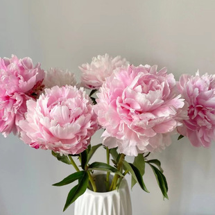 �ذ���ș�r�����ֱ�l�r�л��ҾӲ����b�ƿ��ˮ���r��