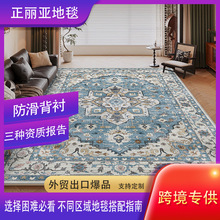 水洗底仿羊绒跨境波西米亚风地毯客厅家用装饰沙发茶几大面积地毯