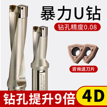 4��14WC��U��ӳ�������ˮ��ͷ���س�����ױ�������18 20 25