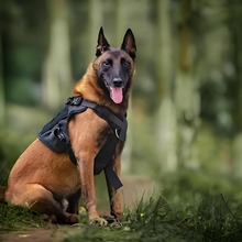 ���t�RȮ��Ȯ���w�pѪ�y�����RȮ�����o�lȮ�ǹ����ﹷ�����l�r��