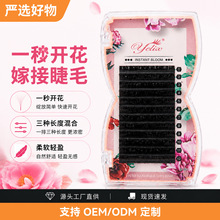 yelix欧美跨境多翘度一秒开花假睫毛嫁接自然单根密排美睫店专用