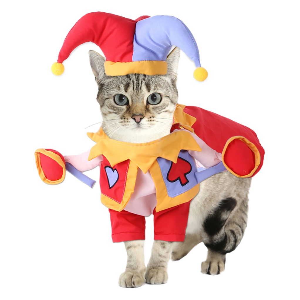 Resumen de la transformación de mascotas, disfraz de gato, disfraz de transformación de Navidad divertido, disfraz de perro, disfraz de Halloween divertido para mascotas