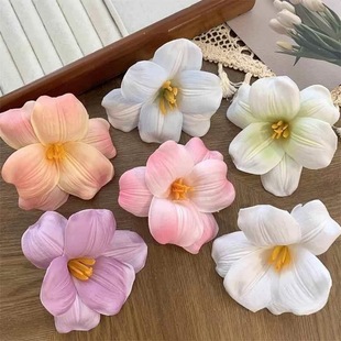 �����^��^���l������L������p��{�Ʒ̩�����滨�l�A�ك�����