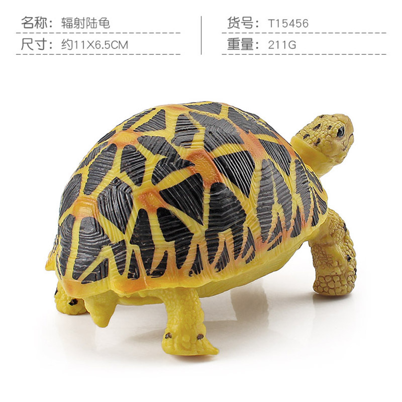 Transfronteriza Nueva simulación anfibio reptil modelo tierra tortuga elefante tortuga estrella tortuga estática decoración cognitiva decoración juguete