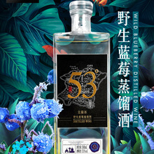 {ݮs dX{ݮ ls 53 {ݮ͹ƶY