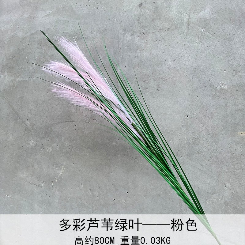 Caña hierba simulación de flores Cai Guoqiang Fuegos artificiales Caña Fuegos artificiales diurnos Fuegos artificiales diurnos Caña Fuegos artificiales