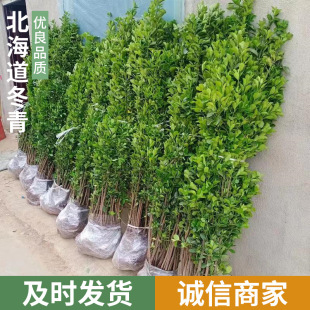 �����������S�����ͥԺֲ���ͺ��ļ�����G����ľ���ܻh�ʌ�����