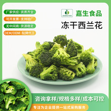 龙海嘉生冻干西兰花FD脱水干燥蔬菜宠物辅食健康代餐原料批发