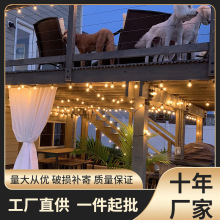 工厂直销美规25FT25钨丝灯泡玻璃外壳材质灯泡用于装饰照明