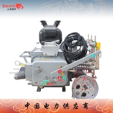 厂家户外柱上真空断路器 带智能带隔离 ZW20高压真空断路器