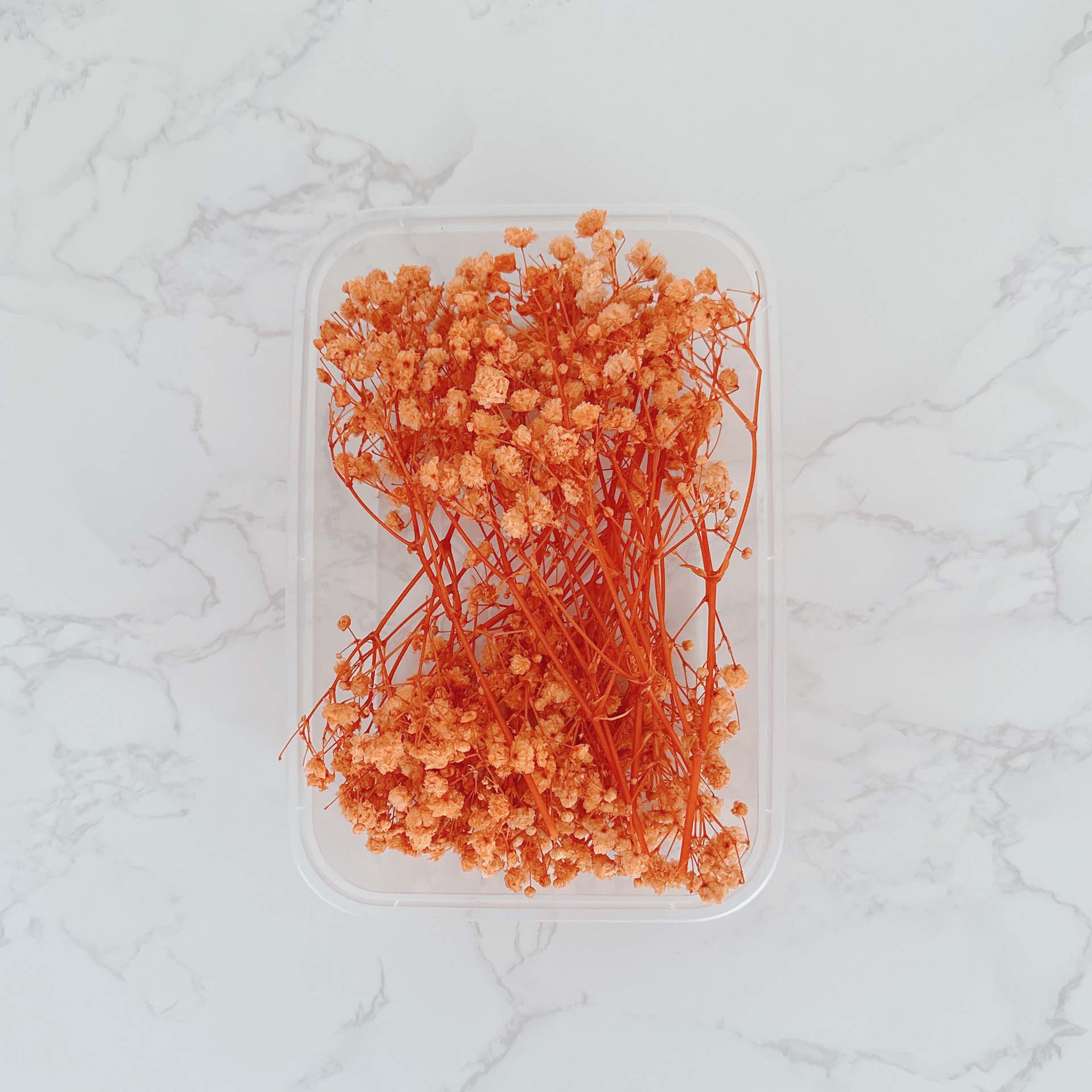 Naranja cielo estrellado